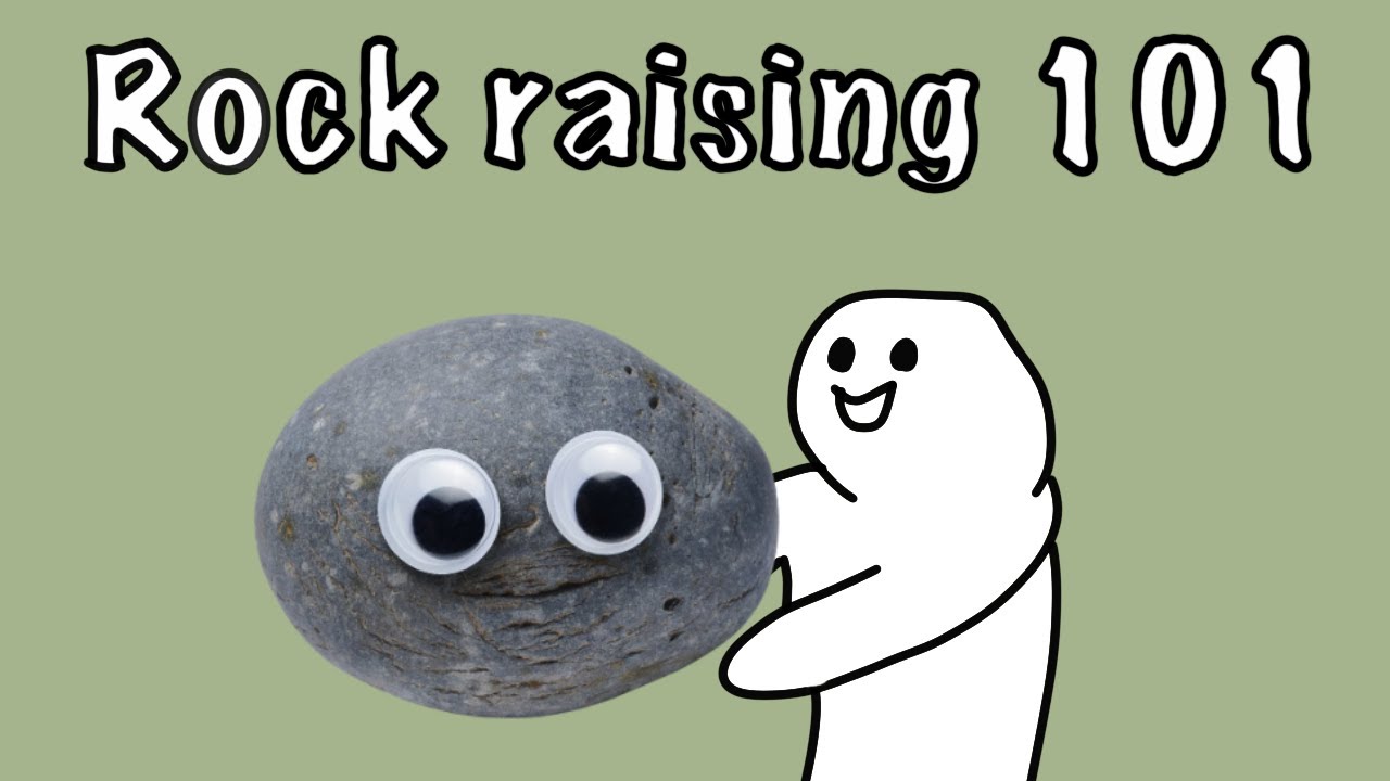 The Finest Tutorial On Raising a Pet Rock