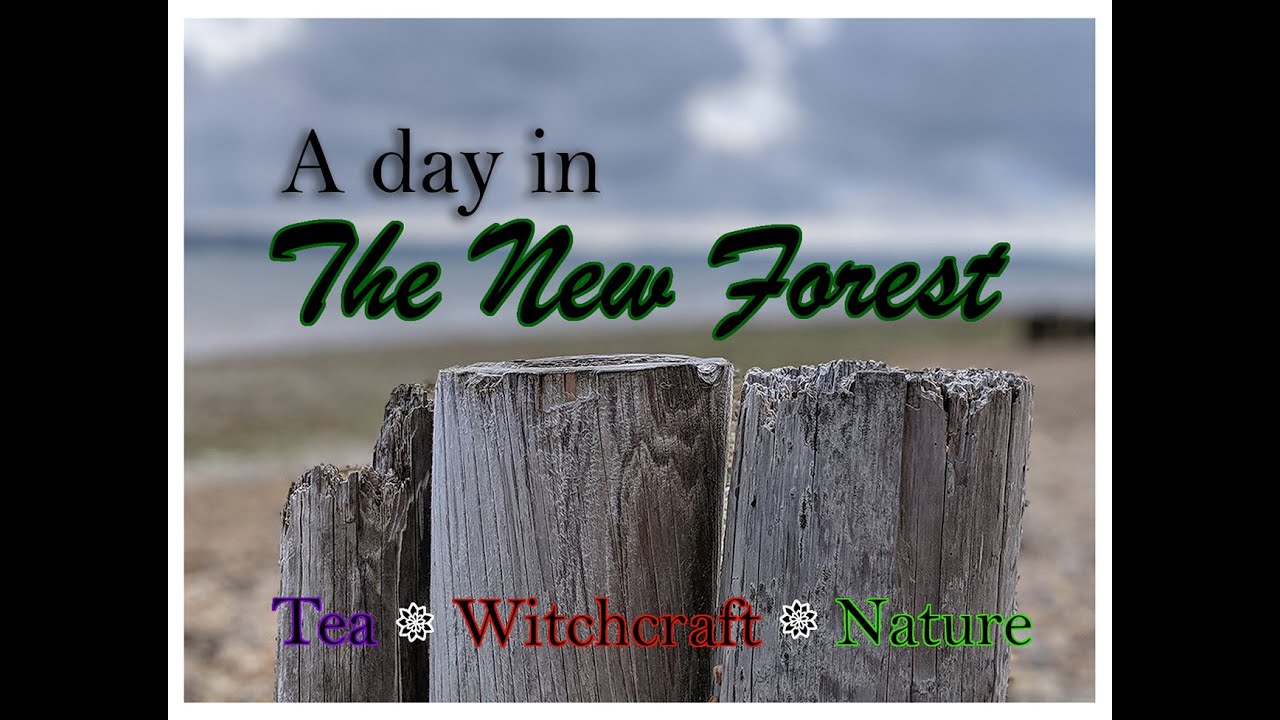 Day Trips From London - The New Forest | ☕️ Burley Tea Rooms 🌊 Lepe Beach 🏞