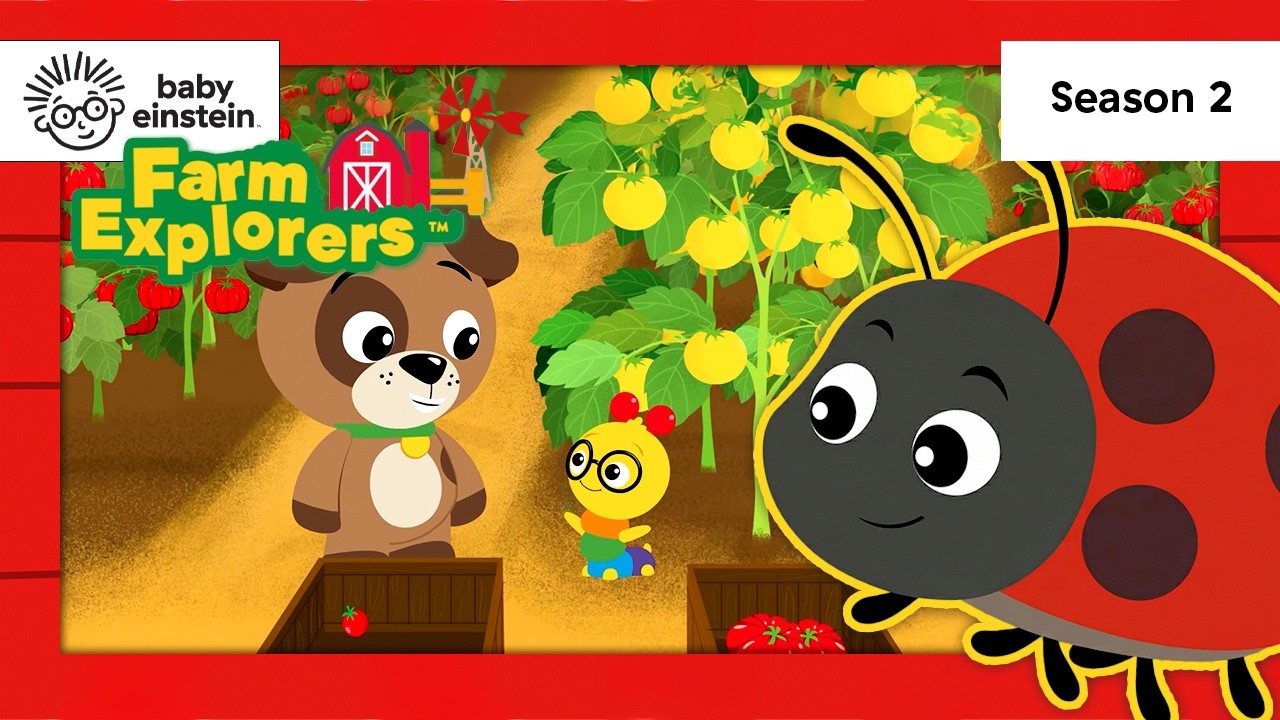 NEW! Sorting with Ladybugs! | Farm Explorers SEASON 2! | Baby Einstein | Educational Cartoon