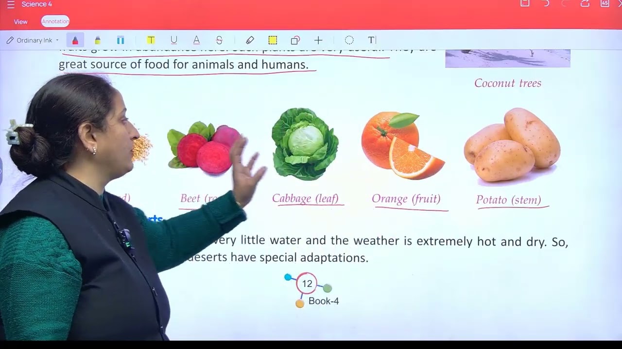 Science 4 ch 2