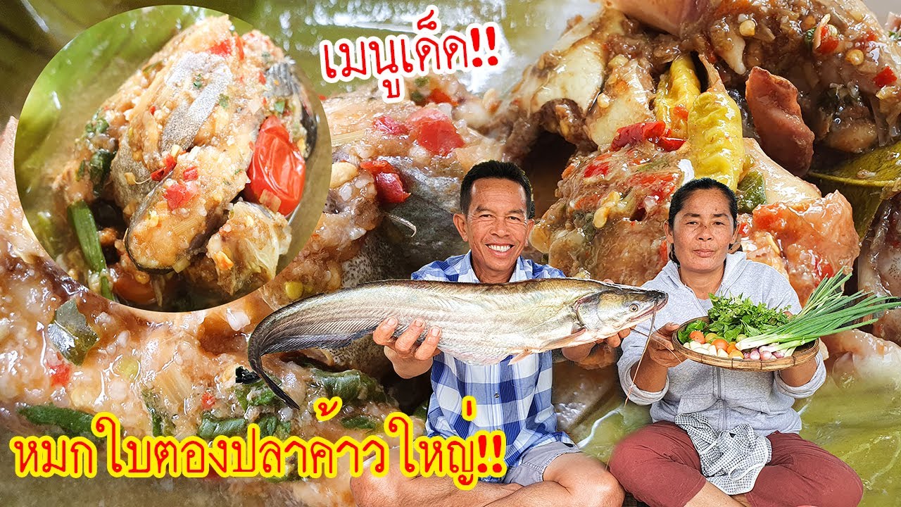 สุดยอดความแซ่บ!! “หมกปลาค้าวใหญ่ใส่ใบตอง” ปลาค้าวตัวใหญ่หมกแบ่งพี่น้อง มาดูกันว่าจะได้กี่หมก!!?
