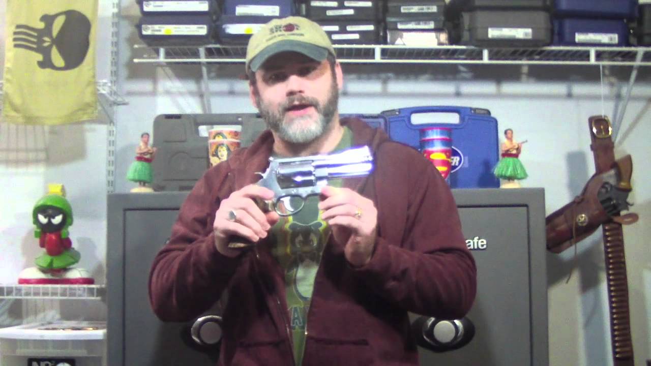 Best Gun For Bear