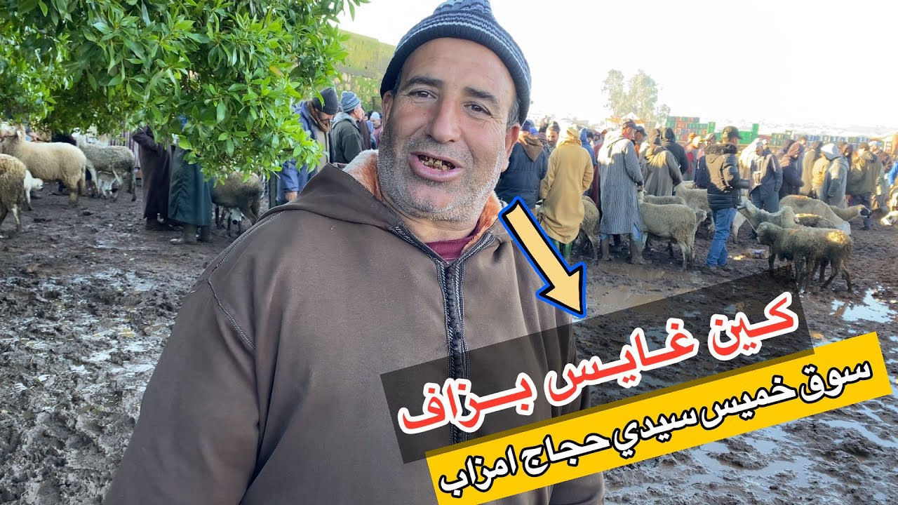 اليوم من سوق خميس سيدي حجاج امزاب 12/02/2026كاين غايس بزاف سوق خاوي🐏