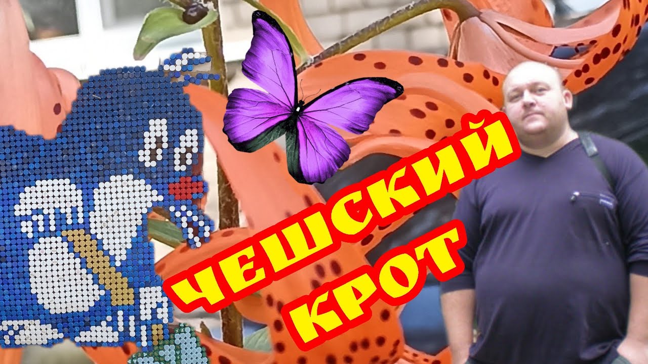 Чешский крот. Картина из пробок от пластиковых бутылок Торжок