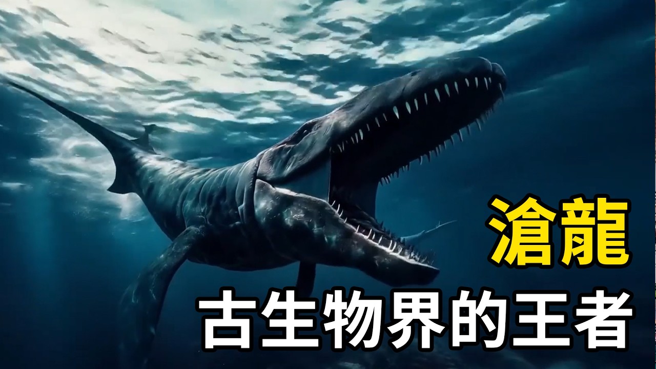 古生物界的王者：滄龍碾壓霸王龍！ | #紀錄片 #有趣  #涨知识 #動物 #知識  #生物