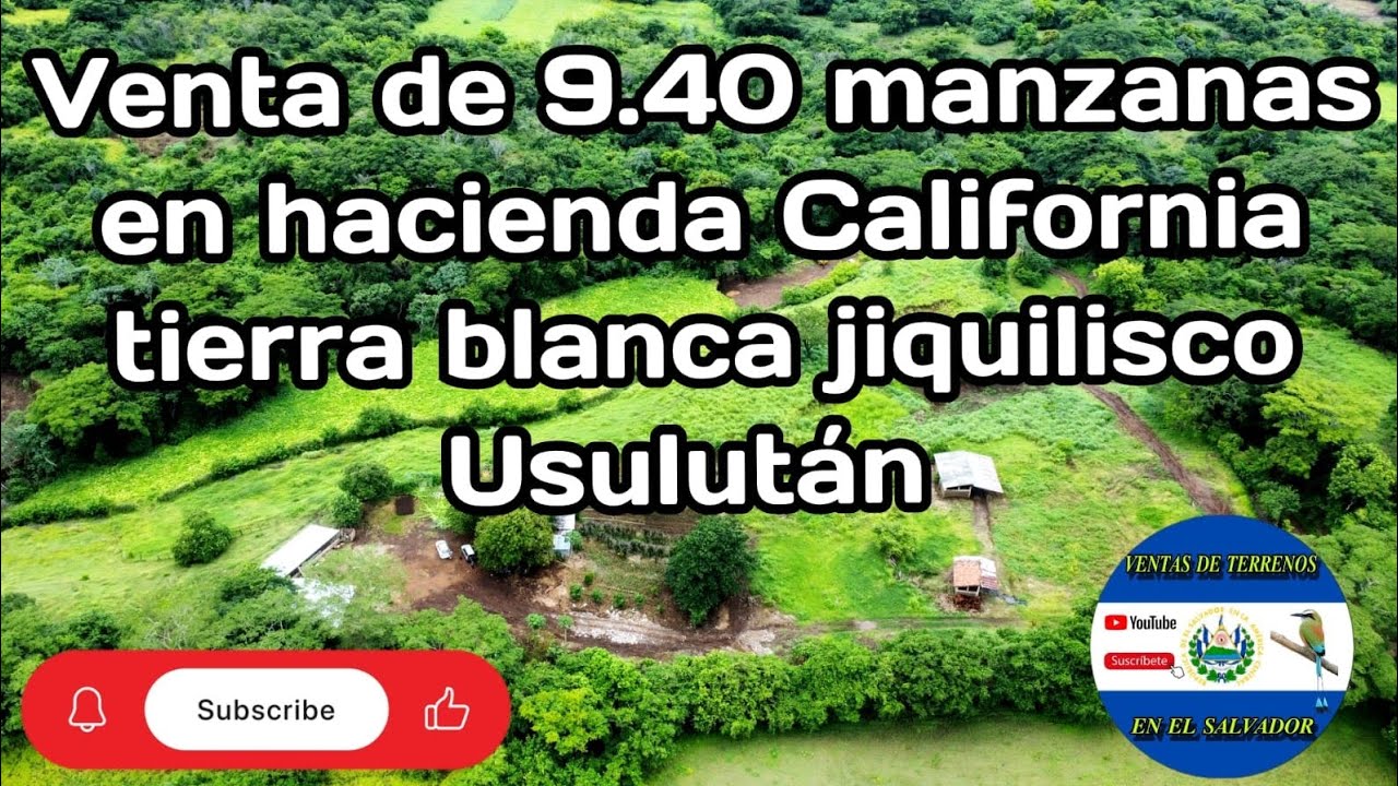 VENDIDO 
