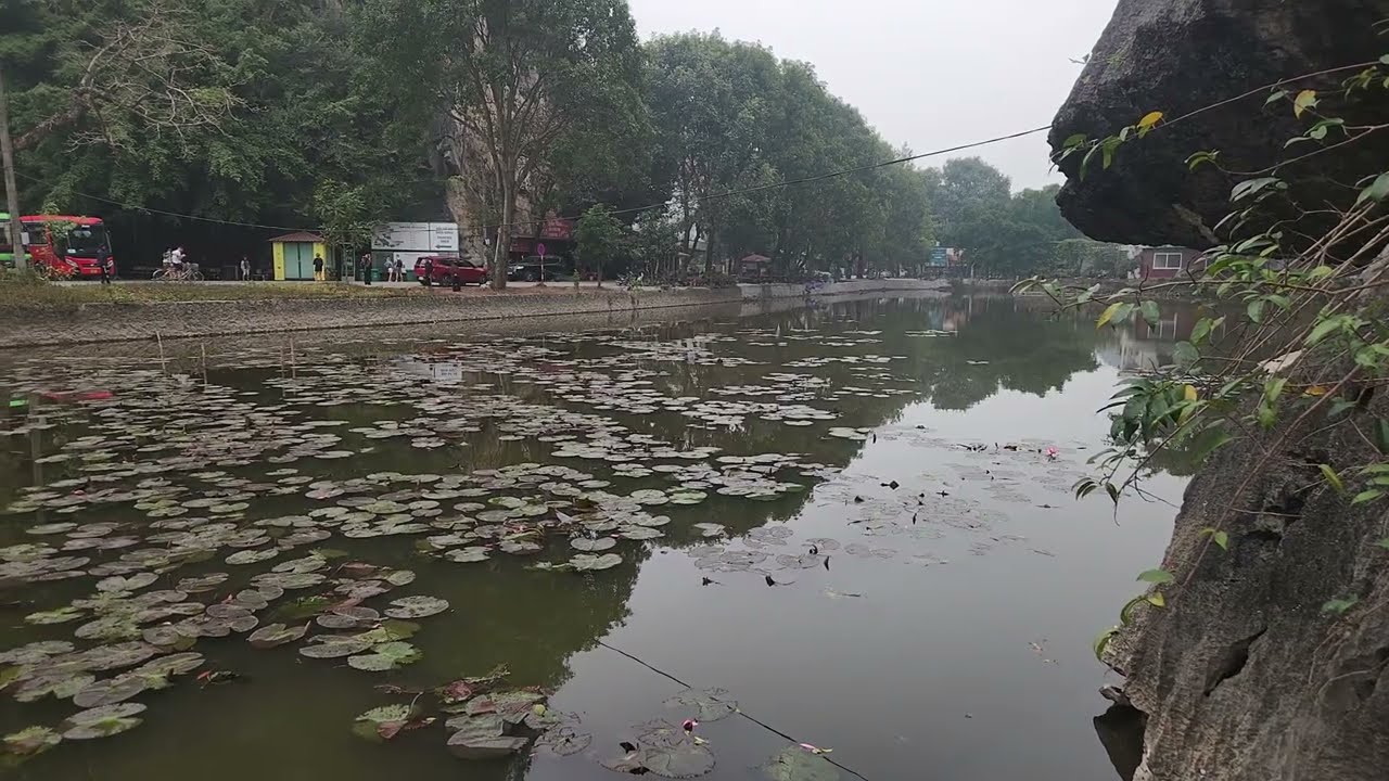 Mixed footage of vietnam