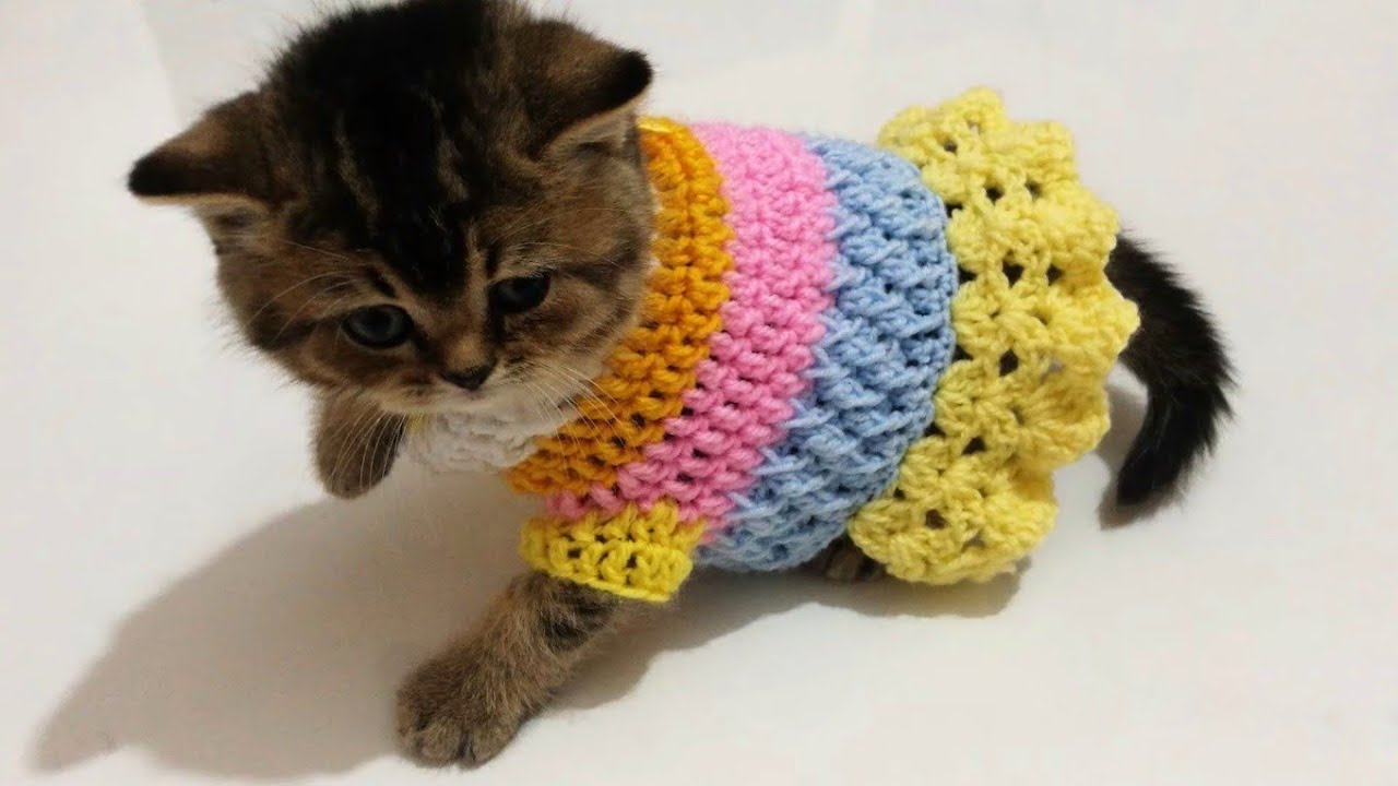 💝Kedi ve Köpeklerimize elbise örelim💗💗💝