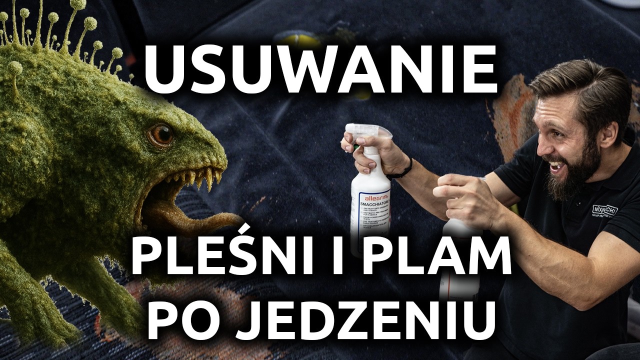 Jak usunąć PLEŚŃ i plamy po JEDZENIU z tapicerki materiałowej?