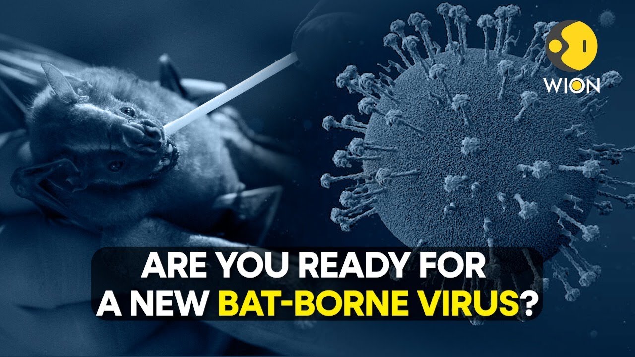 The Kerala Bat Virus: New and Alarming Paths of Human Infection | WION Originals | Nipah Virus