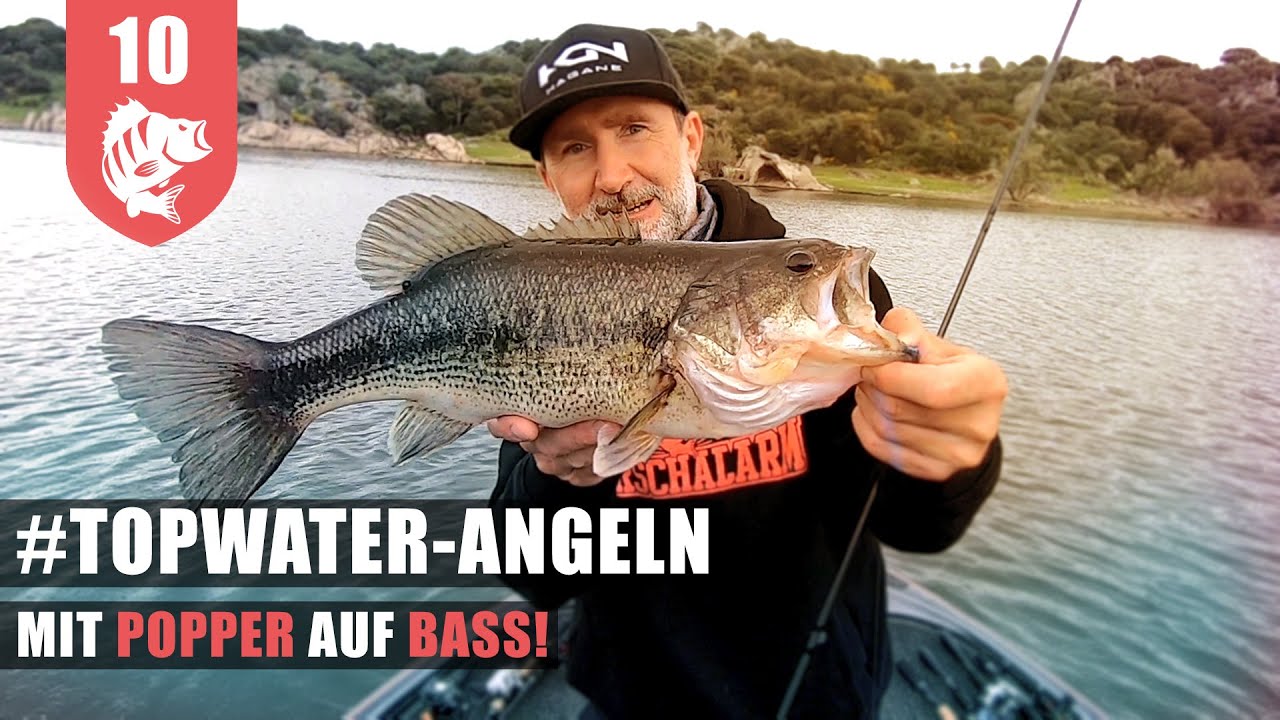 BESTE Angelaction: Die Fische ESKALIEREN an der OBERFLÄCHE!