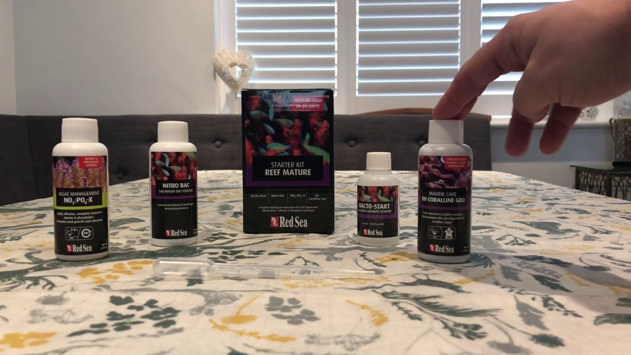 Red Sea Reefer 250 Episode 5: Reef Mature system and start of the cycle! #reeftank #reeftankbuild