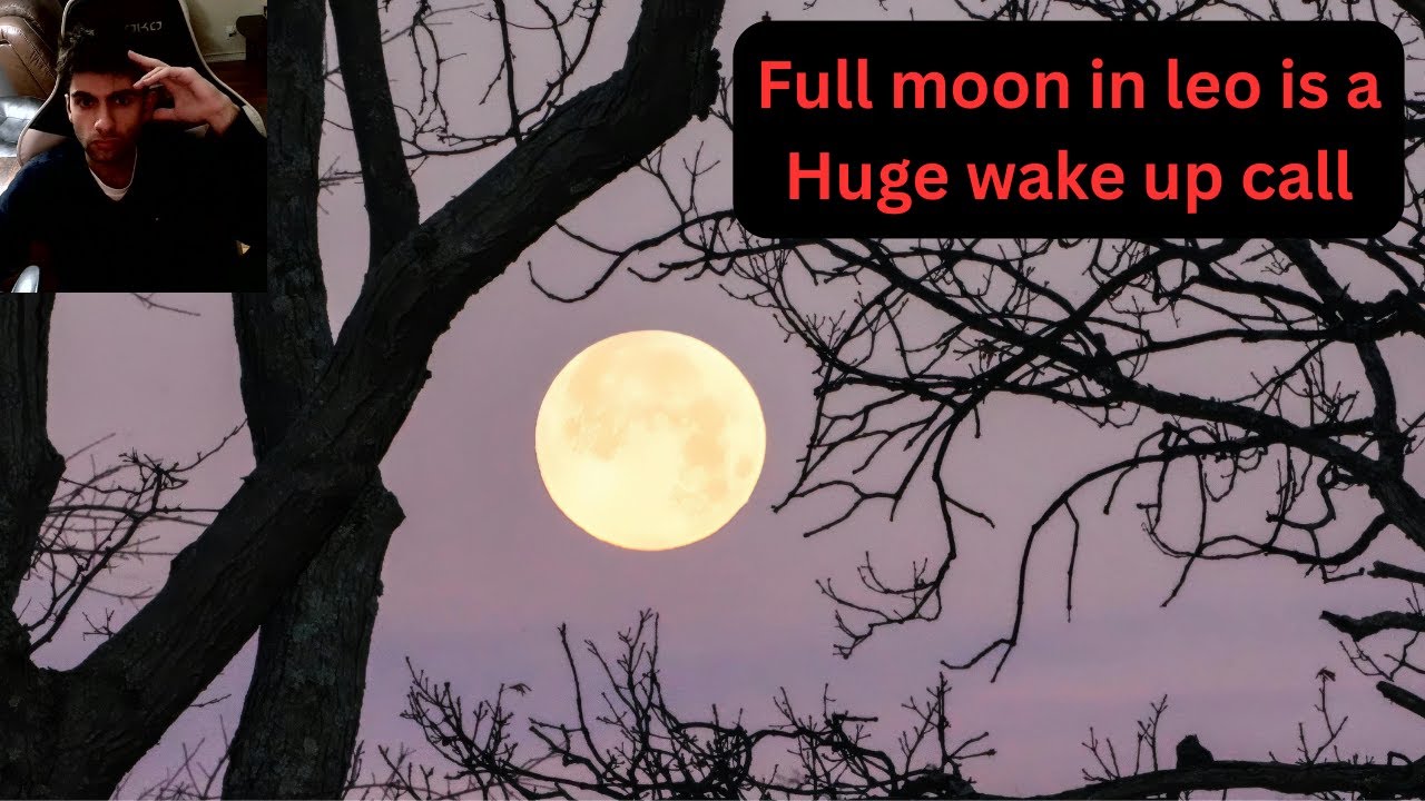 Full moon in Leo February 2026 Astrological breakdown!