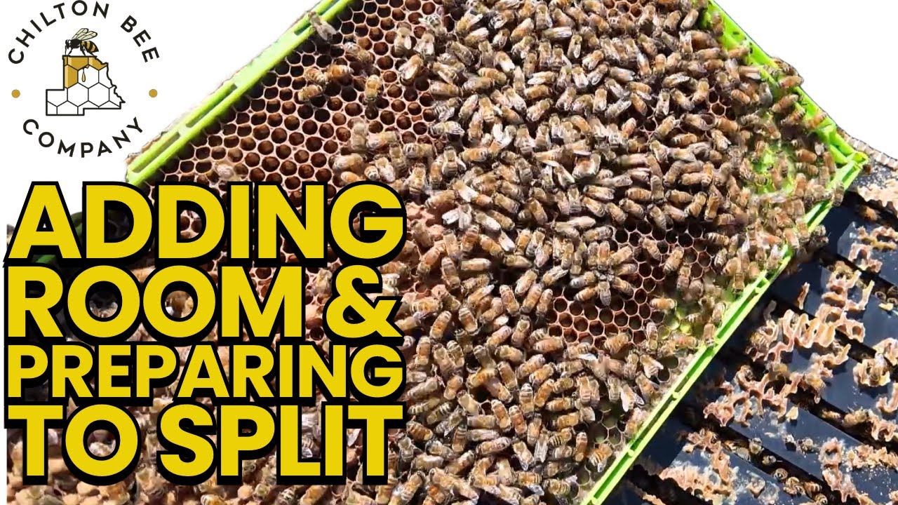 Adding Room & Preparing To Split