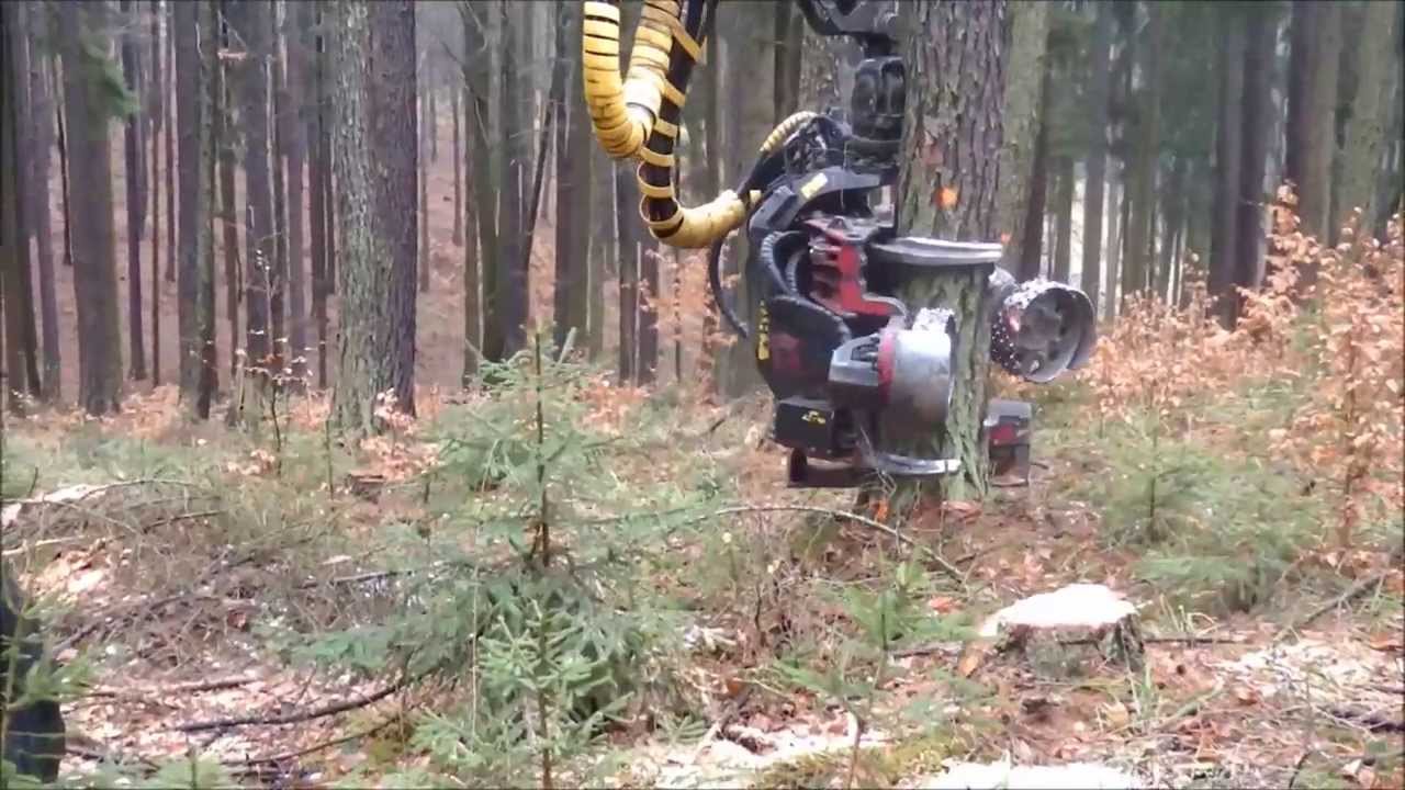 Kácení stromů harvestorem 1.díl