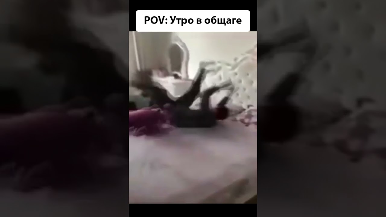 Утро в общаге - мем #мемы #мем  #общага #таракан #meme #memes #cockroach #beatboxmemes #beatbox