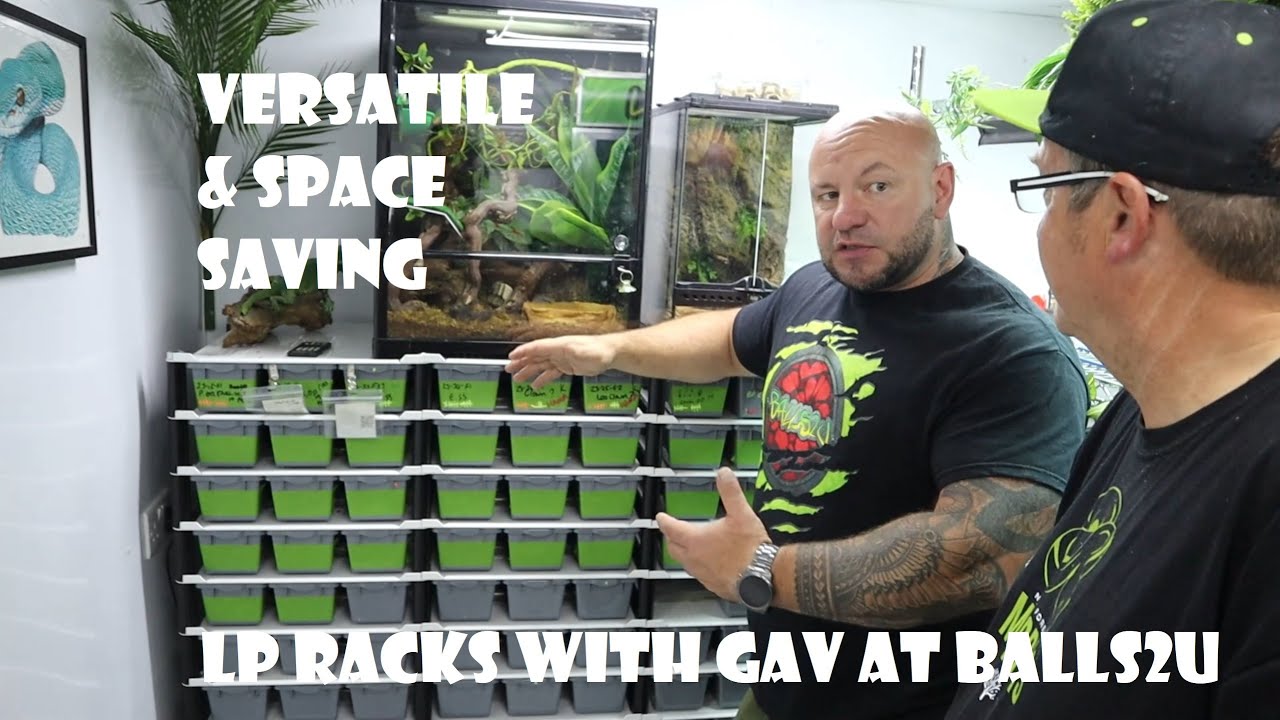 LP Racks Review with Gav at Balls2U - versatile and space saving