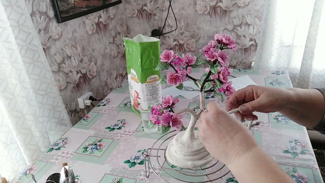 ч.7 мал.сакура.VID 20230222 134114