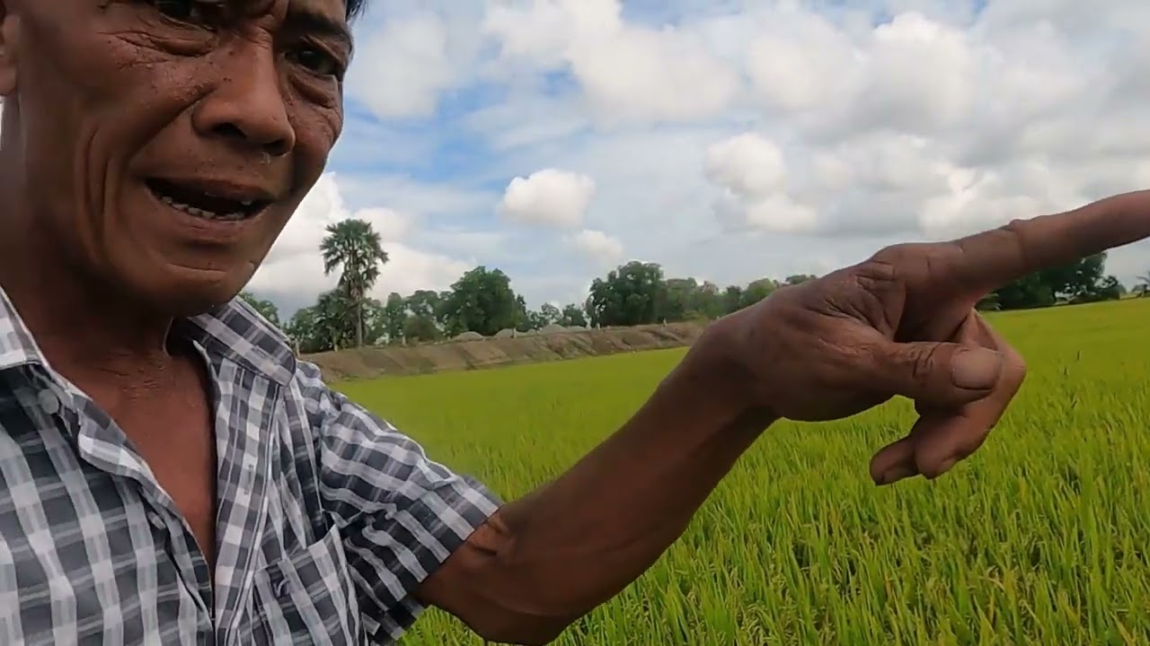 Tư Cà Khịa Đứng Hình Khi Thấy Tư ú Nu Lén Lấy Chài Của Mình Đi Một Mình Ra Đồng