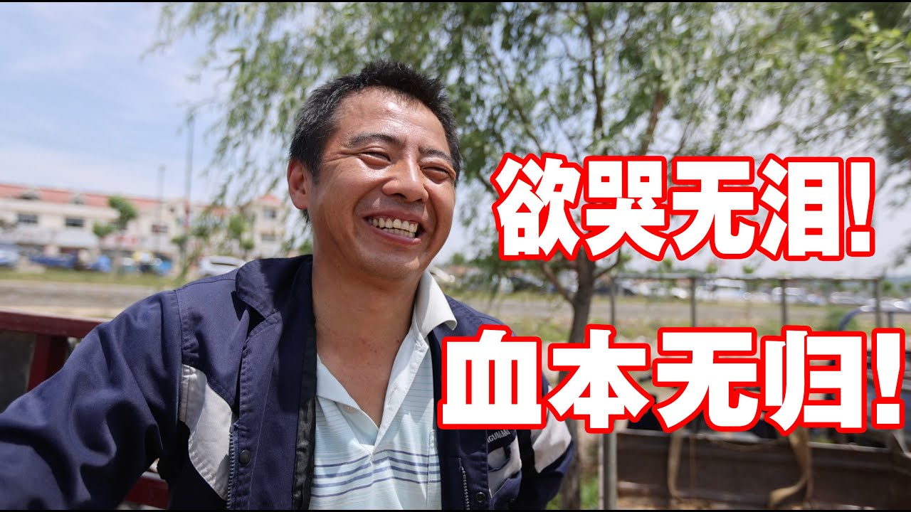 【20岁】 实体探访中国最大的大樱桃集散地,山东樱桃崩盘,农民收入惨痛
