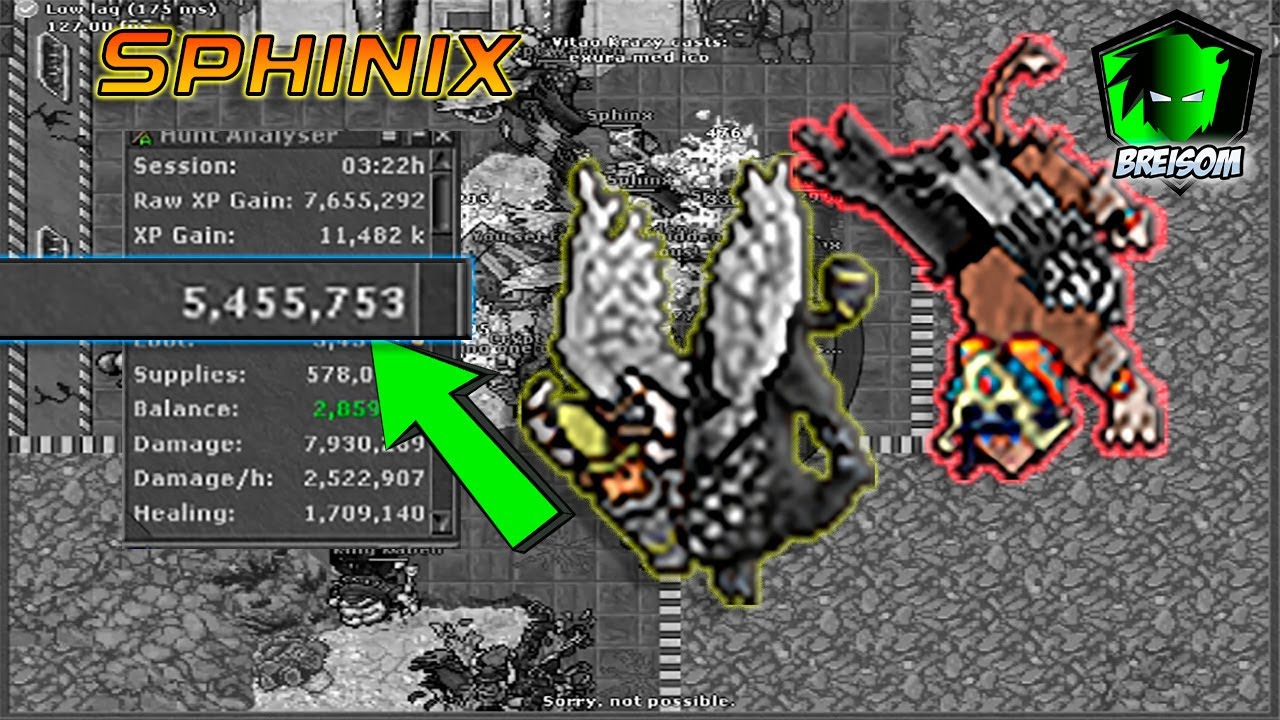 El mejor lugar para subir de nivel en duo! EK ED Puertas de issavi sacando 5.4kk exp Tibia Hunt!