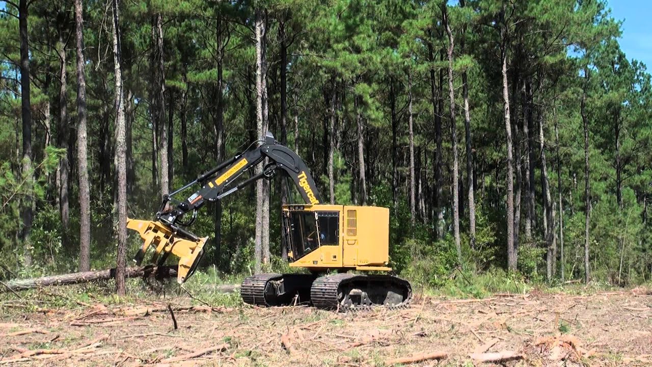 Tigercat 822D feller buncher