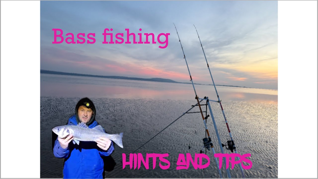 Uk bass fishing , fishing tips in laugharne