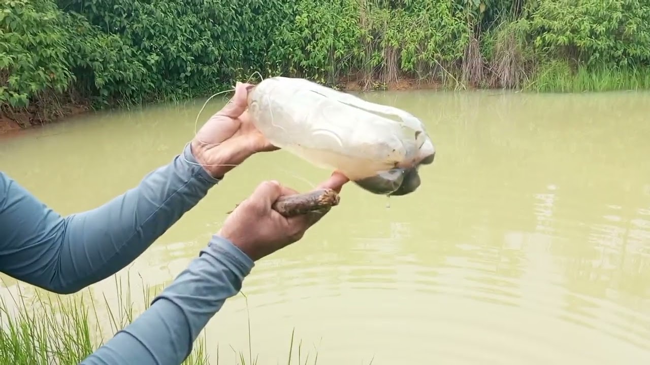 Chácara bom susego 