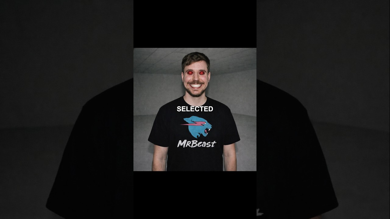 Here's What To Do If You Meet Mr.Beast 