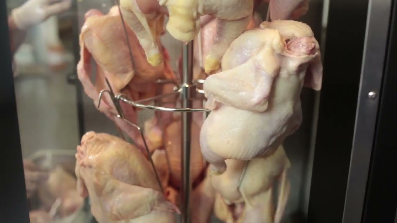 Asador de pollo vertical ventus