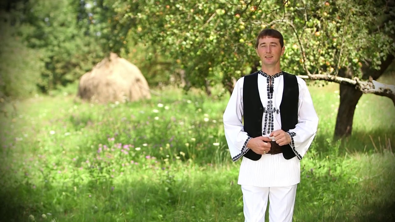 Doinel Hândorean - Greu ii ciobanas la oi