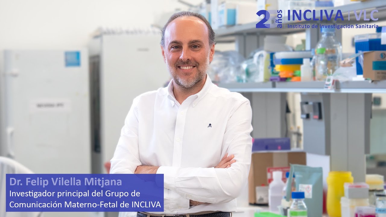 Dr. Felip Vilella Mitjana, investigador principal del Grupo de Comunicación Materno Fetal de INCLIVA