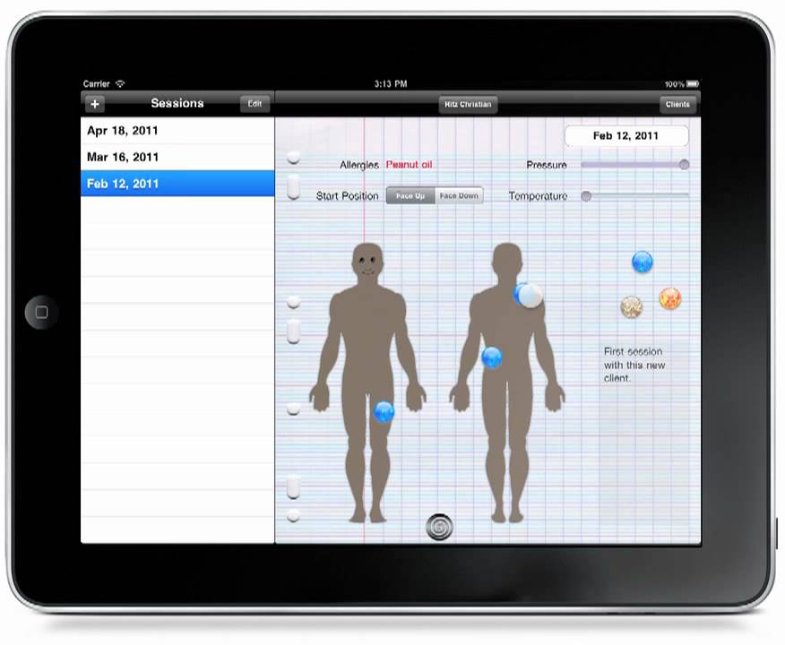 Massage Therapist Notebook Tutorial: Reviewing Client Notes