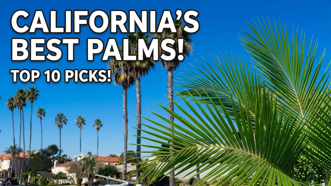 Top 10 Palm Trees for Southern California | Best Palms for Zones 8&ndash;10 Garden