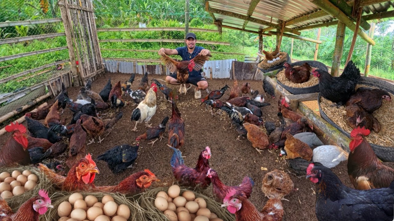 BUSY sa FARM - BUSY sa ginagawang SHOP, sabay-sabay ang TRABAHO 