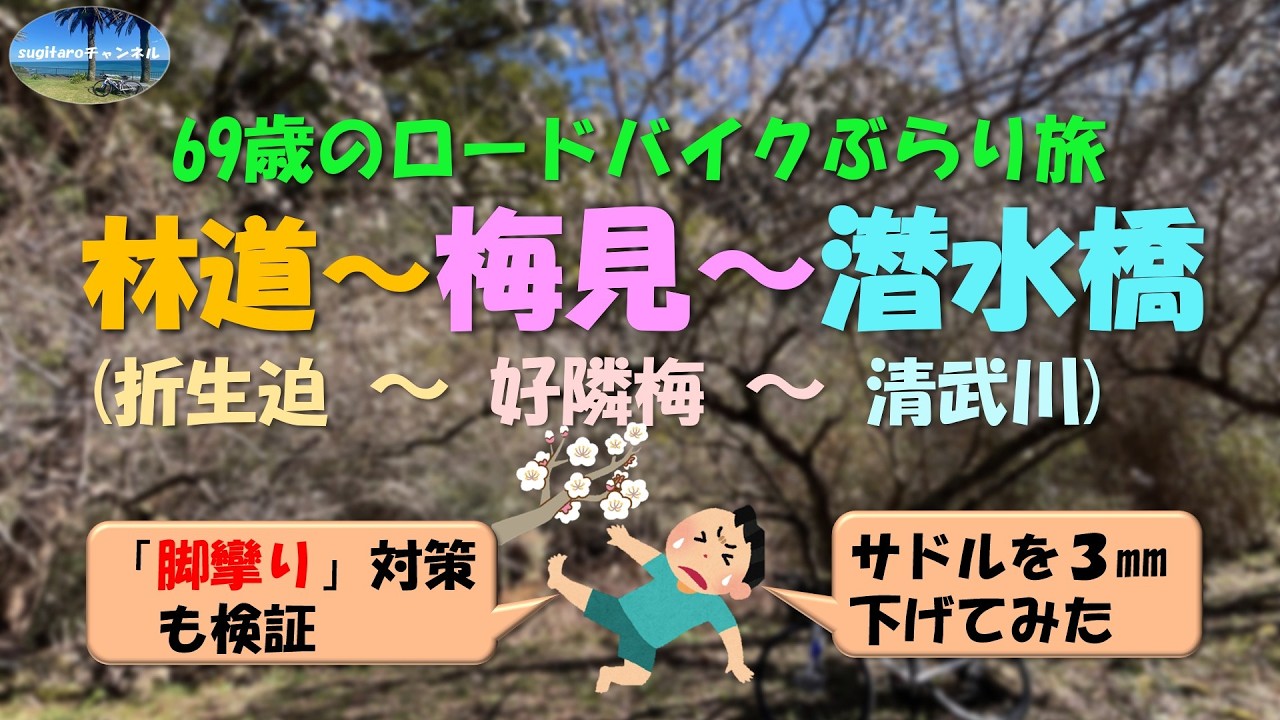 林道～梅見～潜水橋（折生迫→大谷林道→好隣梅→清武）、「脚攣り」対策でサドルを３㎜下げてみた　－６９歳のロードバイクぶらり旅―