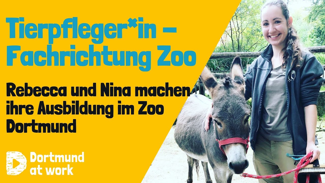 Ausbildung zum*r Tierpfleger*in im Zoo Dortmund