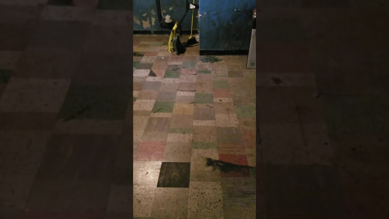 Chicagoland Home Inspector Tells You How To Spot Asbestos Floor Tiles!