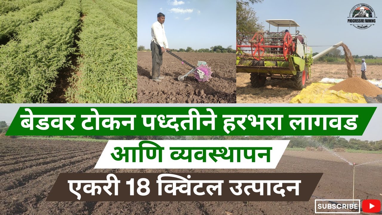 बेडवर टोकन पध्दतीने हरभरा लागवड आणि व्यवस्थापन|एकरी 18 क्विंटल उत्पादन| Harbhara lagvad|Gram Farming