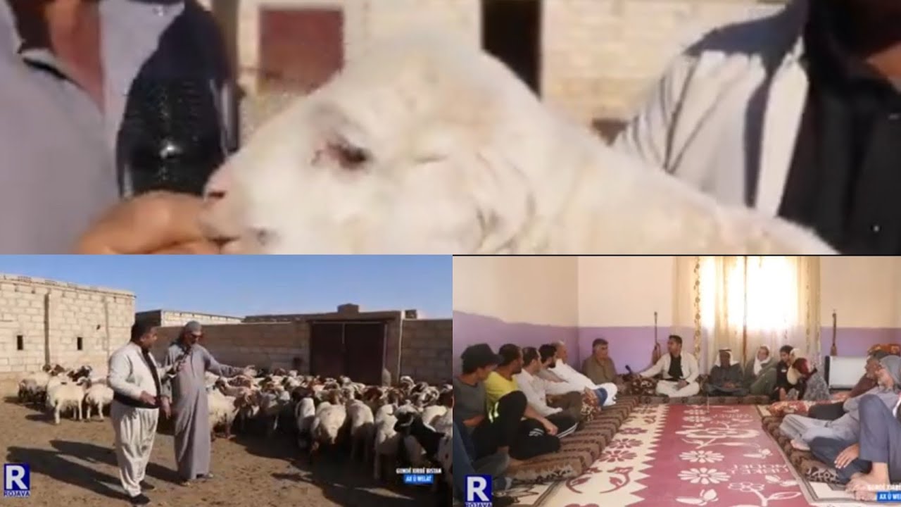 اخ ؤ ولات قرية خربة بستان  عامودا AX Û WELAT GUNDÊ XIRBÊ BISTAN