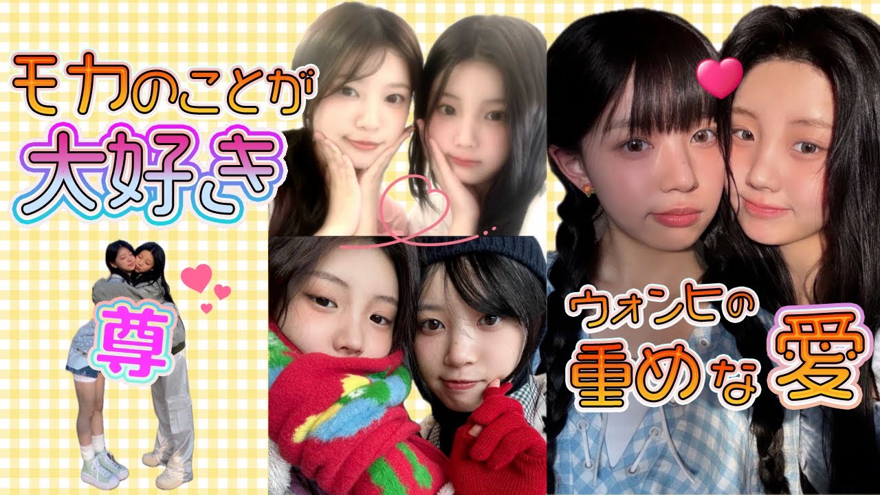 【ILLIT】モカを好きすぎて愛が重くなりがちな妹ウォンヒ❤️(アイリット/日本語字幕)