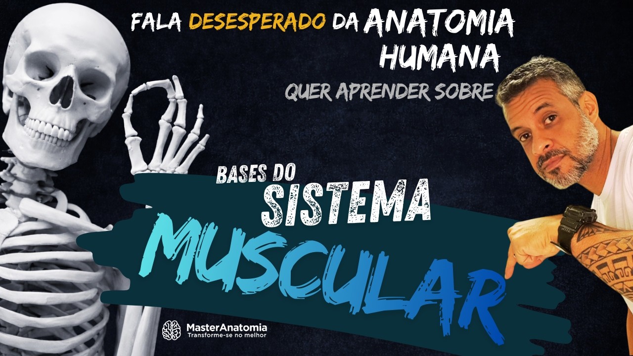 Aula 10   Sistema Muscular