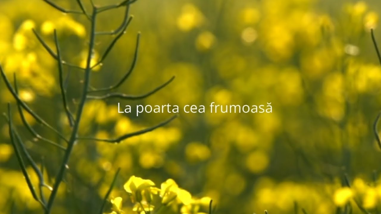 David Stănuș l La poarta cea frumoasă l Versuri