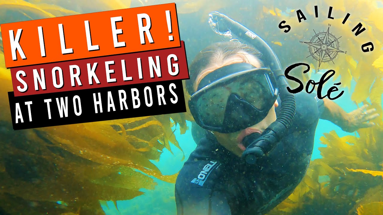 EP19 - KILLER! Snorkeling at TWO HARBORS | Solo Sailing CATALINA