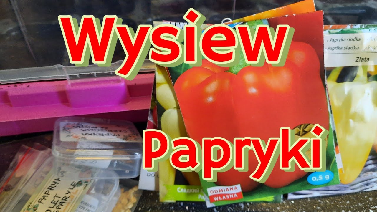 WYSIEWAM PAPRYKĘ NA ROZSADĘ 🌱 PIERWSZE WYSIEWY W GRUDNIU .