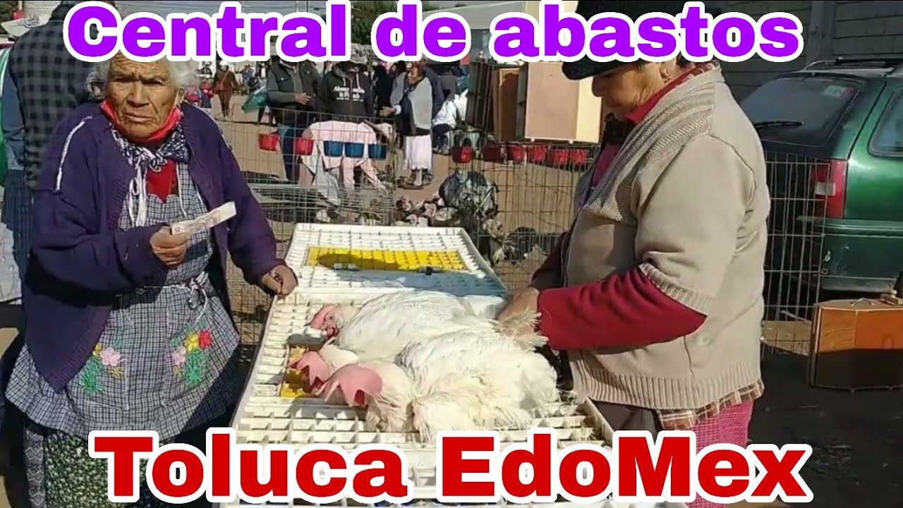 Mercado de animales en central de Abastos Toluca Edo mex / Viernes