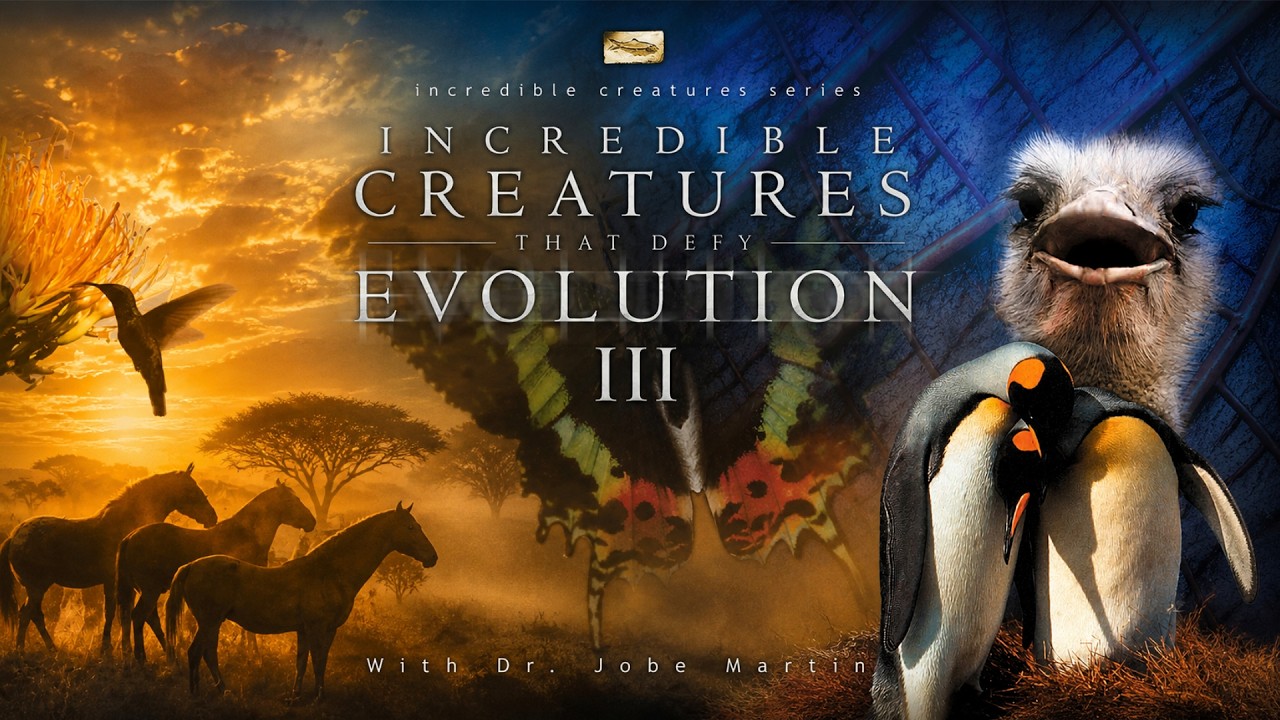 Incredible Creatures That Defy Evolution 3 | David Hames | Dr. Jobe Martin