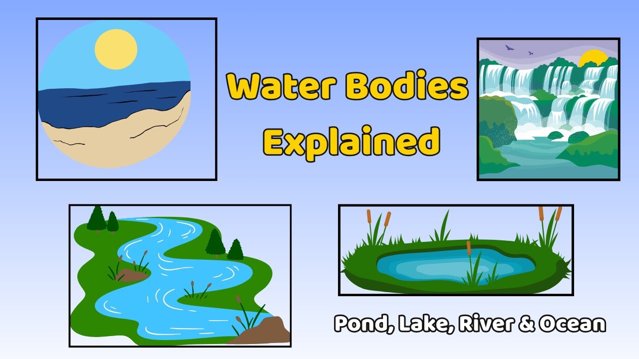 Types of Water Bodies for Kids | Oceans, Rivers, Lakes & Ponds Explained Simply