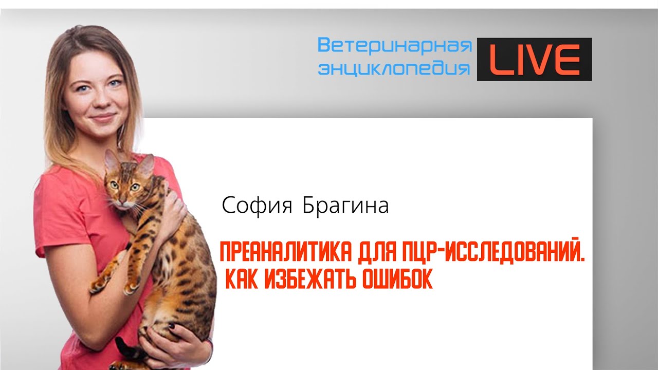 Преаналитика для ПЦР-исследований. Как избежать ошибок