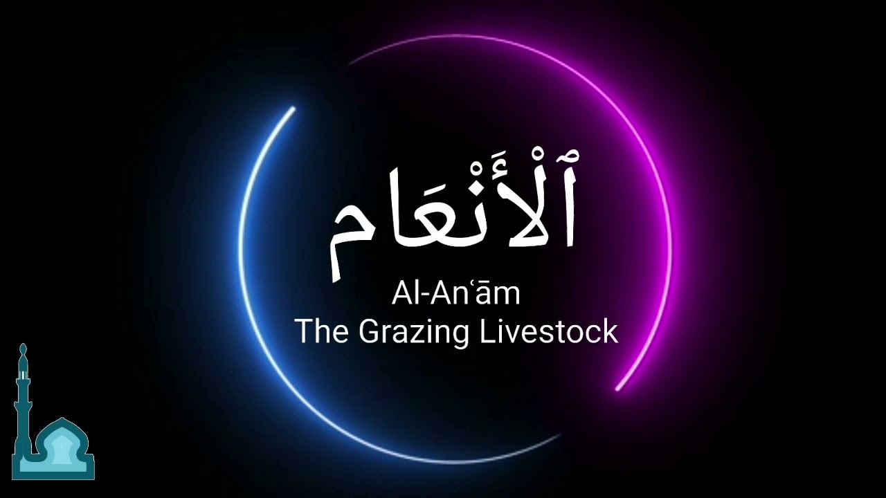 Abu Bakr Al Shatri - أبو بكر الشاطري - Surah Al-Anam  - سورة الأنعام Quran Recitation - Surah 6